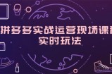 （11759期）拼多多平台实战演练经营当场课程内容，即时游戏玩法，爆款打造，选款、标准分析