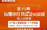 辛言玩爆小红书流量实战班，小红书种草是内容营销的重要流量入口
