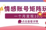 云天情感账号矩阵项目，简单操作，月入10万+可放大（教程+素材）