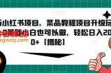 最新小红书项目，菜品教程项目升级玩法，0基础小白也可以做，轻松日入200+【揭秘】