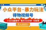 小众平台暴力玩法，一键搬运爆款视频，可矩阵小白无脑操作，每天30分钟