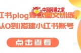 小红书plog爆款图文训练，从0到1搭建小红书账号