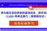 转为新生宝妈而来的蓝海项目，操作得当日入500+简单且暴力（保姆级玩法）【揭秘】