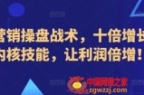 新营销操盘战术，十倍增长的内核技能，让利润倍增！