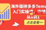 海外版拼多多Temu快速入门实操课，店铺实战从0到1