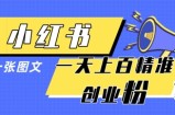 小红书模版一张图片一天轻松引流上百创业粉
