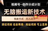 视频号无脑搬运新技术，破原创壕流量，独家方式，爆过视频，还会再爆【揭秘】