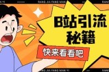 B站最新截流玩法靠此方法可日引流200+