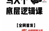 马大个·底层逻辑课，51节底层逻辑智慧课-价值1980元
