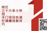 明灯三十六条小妙招第12招冷门项目快速打通赚钱新技巧
