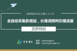 灵梦网创38计之第二十二计：全自动采集影视站，长尾词预判引爆流量