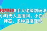 解密抖音快手大佬级别玩法，24小时无人直播间，小白上手神器，多种直播变现【揭秘】