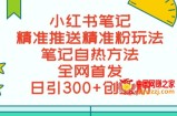 最新小红书笔记精准推送2000+精准粉，单日导流私欲最少300【脚本+教程】