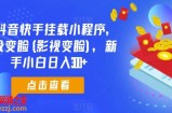 0粉抖音快手挂载小程序，超级变脸(影视变脸)，新手小白日入300+【揭秘】