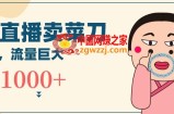 无人冷门品直播新玩法，通过卖菜刀日入1000+【揭秘】