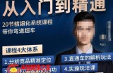 龙一·从入门到精通拼多多运营系列课，0-100的运营实操技巧，精细化系列课程带你弯道超车