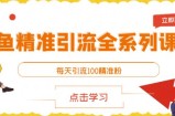 闲鱼精准引流全系列课程，每天引流100精准粉【视频课程】