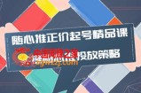 随心推正价起号精品课，实操随心推投放策略（5节课-价值298）