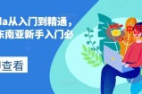lazada从入门到精通，跨境东南亚新手入门必修课