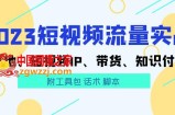 2023短视频流量实战 本地、短视频IP、带货、知识付费（附工具包 话术 脚本)