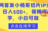 全网首发小杨哥切片IP3.0，日入500+，保姆级教学，小白可做【揭秘】