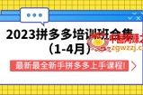 2023拼多多培训班合集（1-4月），最新最全新手拼多多上手课程!