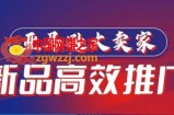 亚马逊大卖家-新品高效推广，​分享如何高效推广，打造百万美金爆款单品