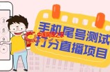 最新抖音爆火的手机尾号测试打分无人直播项目 日赚几百+【打分脚本+教程】