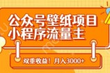 公众号壁纸项目，小程序流量主双收益，月入3000+
