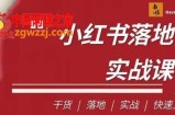 南悟·小红书医疗流量落地实战课，干货/落地/实战/快速上手