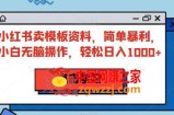 小红书卖模板资料，简单暴利，小白无脑操作，轻松日入1000+【揭秘】