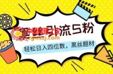 S粉变现，轻松日入四位数，黑丝题材+情感话术【揭秘】