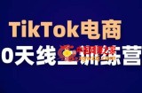 TikTok电商带货30天线上课，不可错过的全球流量洼地！