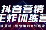 抖音营销王炸训练营，实操落地+营销策略=引爆流量（价值8960元）