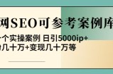 白杨全网SEO可参考案例库，几十个实操案例日引5000ip+涨粉百W+变现几十W等