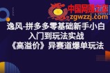 拼多多零基础新手小白入门到玩法实战《高溢价》异赛道爆单玩法实操课