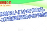 零基础快速入门小红书电商，从0-1打造能赚钱的小红书店铺