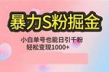 （12778期）单人单机日引千粉，变现1000+，S粉流量掘金计划攻略
