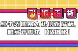 小红书无限暴力私信不屏蔽，无限多开脚本【仅揭秘】