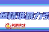闲鱼精准暴力引流全系列课程，每天被动精准引流200+客源技术（8节视频课）