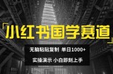 小红书的国学经典跑道，没脑子粘贴复制，单日1K，实际操作演试，新手立刻入门【揭密】