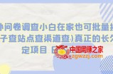 国外问卷调查小白在家也可批量操作(口子查站点查渠道查)真正的长久稳定项目 日入1500+【揭秘】