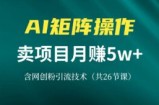 （13335期）网创IP打造课，借助AI卖项目月赚5万+，含引流技术（共26节课）