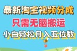 全新淘宝视频分为，仅需没脑子运送，新手都可以轻松月入五位数，可引流矩阵批量处理