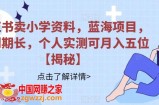 小红书卖小学资料，蓝海项目，红利期长，个人实测可月入五位【揭秘】