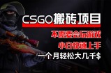（12332期）CSGO 装备搬砖项目，操作简单，不需要会玩游戏，小白也能快速上手，一&amp;#8230;