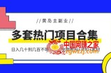 黄岛主副业多套热门项目合集：日入几十到几百不等（完整教程+资料+素材）
