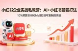 小红书企业实战私教营：AI+小红书最强打法，10%预算30天GMV翻2倍可复制的系统