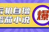 首发云手机自撸小说玩法，10块钱成本可撸200+收益操作简单【揭秘】