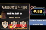 短视频带货-千川专业投放课，​精细化专业投放，计划纠正，提升ROI